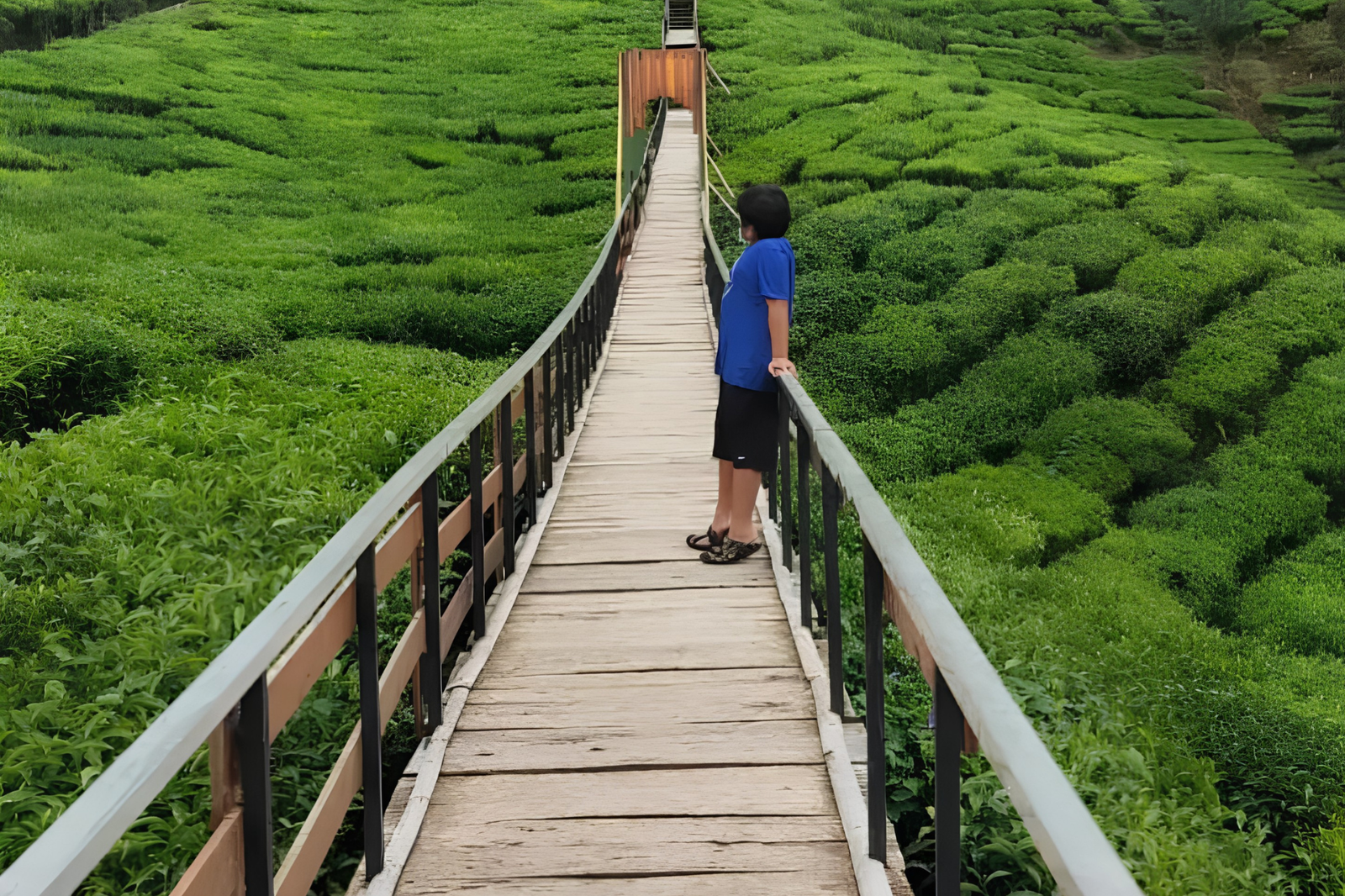 keenusa destinasi ciwidey (2)