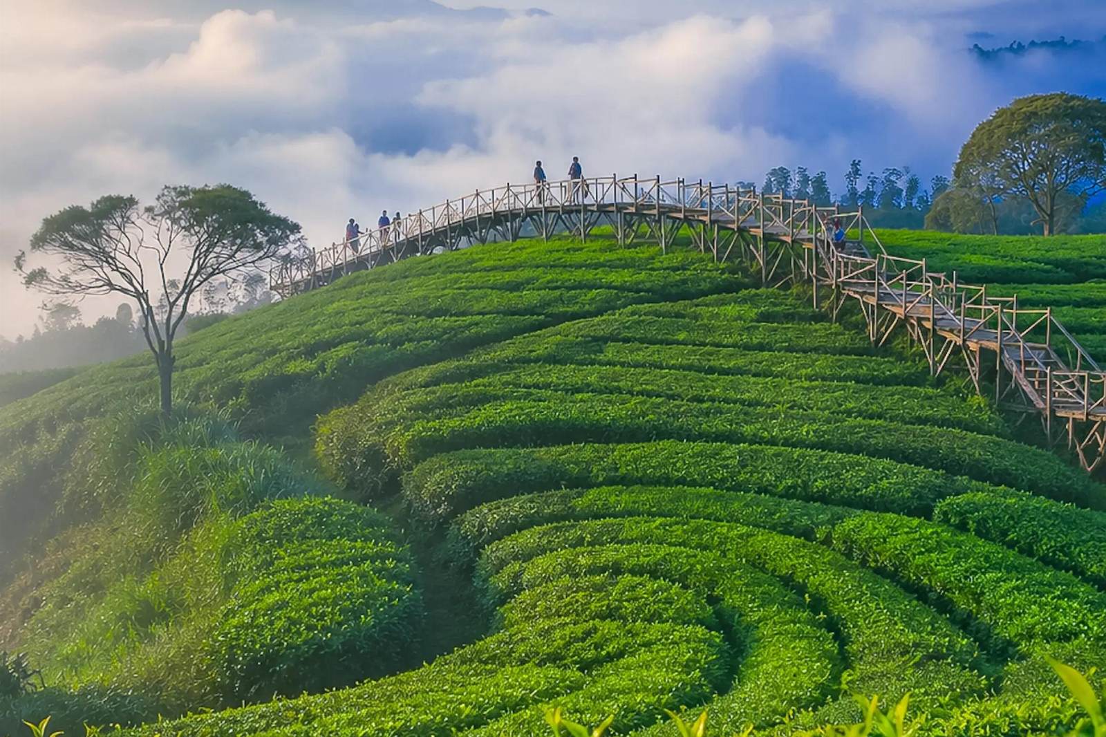 keenusa destinasi ciwidey (4)