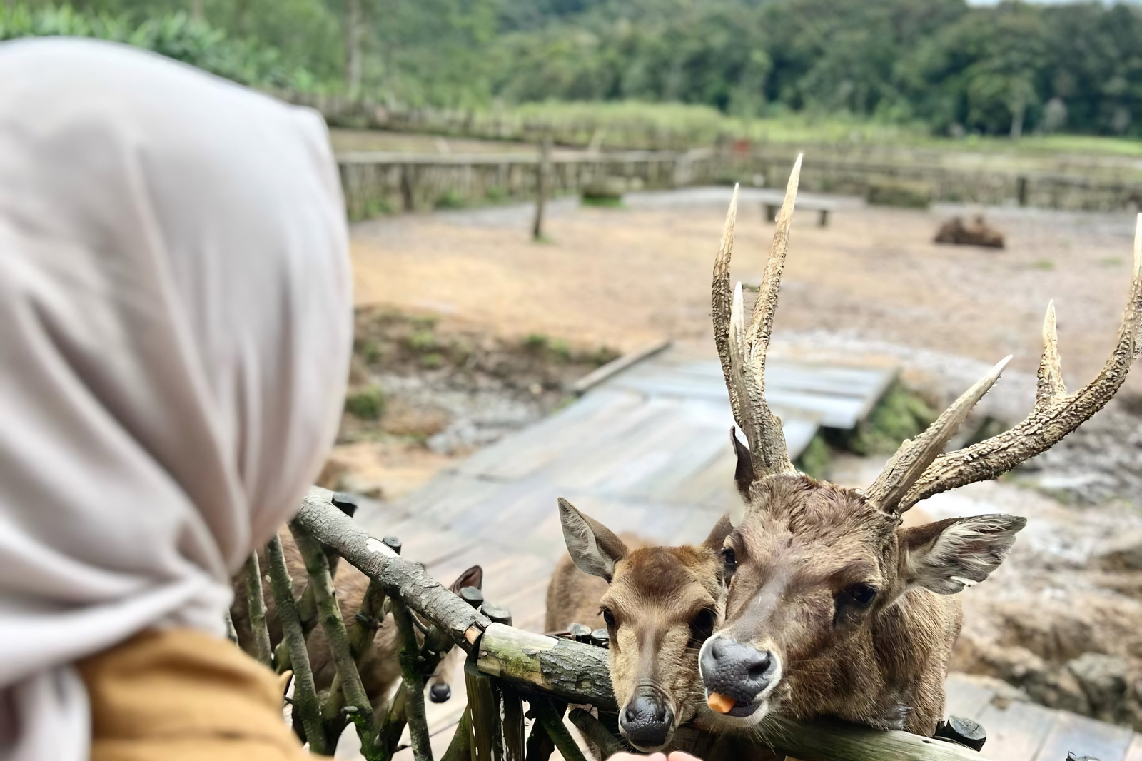 keenusa destinasi ciwidey (9)