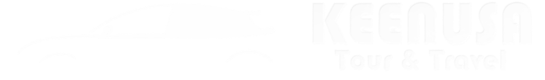 logo keenusa